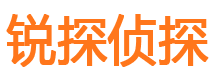 额济纳旗市调查公司